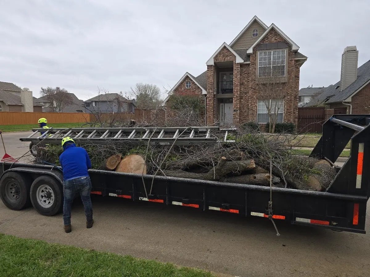 Expert Tree Fertilization with proper safety equipment in Ransom